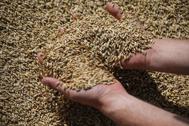 ММФ: Повлекувањето на Русија од Договорот за жито може да ги зголеми цените на храната во светот